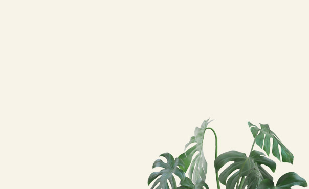 Årets konfirmationsgave